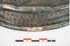 Foto von Bronzerippenziste (NHMW-PRAE-025462)